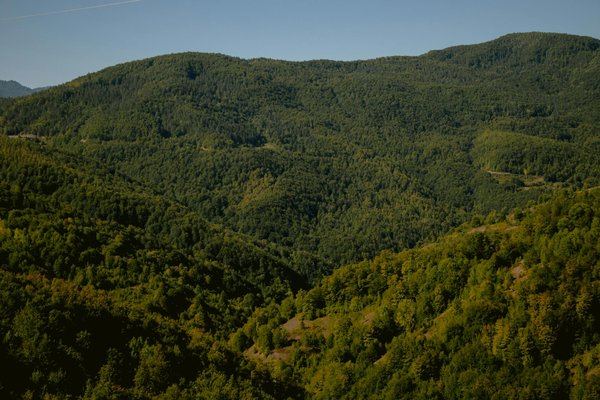 Comment décrocher un emploi à l'étranger grâce aux annonces médicales